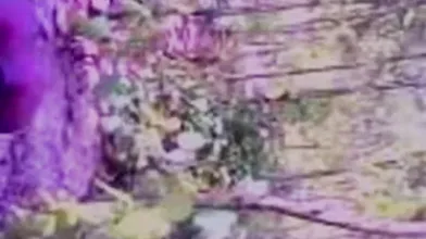 Bangla PUBLICPLACE Fucking Prostitute In Jungle জঙ্গলে মাগি চুদা