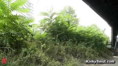 Public Sex MILF Susi Extreme