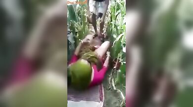 Hindi PublicPlace Bihari Bhabhi Hot Outdoor Sex In The Fields With Village Sarpanch - Village Outdoor