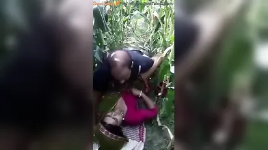 Hindi PublicPlace Bihari Bhabhi Hot Outdoor Sex In The Fields With Village Sarpanch - Village Outdoor