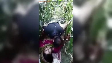 Hindi PublicPlace Bihari Bhabhi Hot Outdoor Sex In The Fields With Village Sarpanch - Village Outdoor