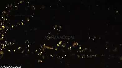 Sexfantasy Indian Big Tits Stepsister Fucking