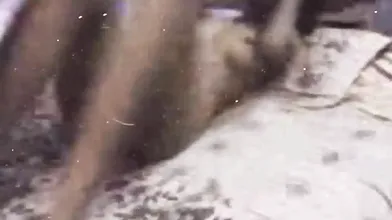 DesHI Pervert Teacher Fuck His Student & Recorded