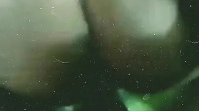 DesHI Desi Girl Suck Big Cock