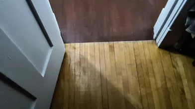 BBWLovr69 BBW Wife Oral with Bull