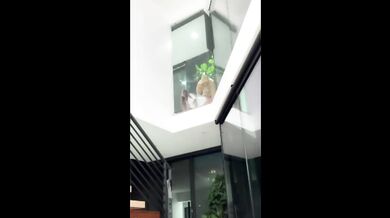 Slut Fucked Against The Window
