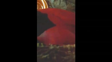 Bihari Wife Ki Chut Chudai Lover Sath Raat Me Masti
