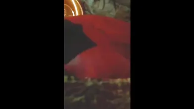 Bihari Wife Ki Chut Chudai Lover Sath Raat Me Masti