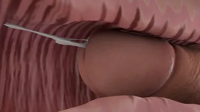 ▪ Dirty Teacher Opens Wide For Student’s Cock - Creamy Desk Finish