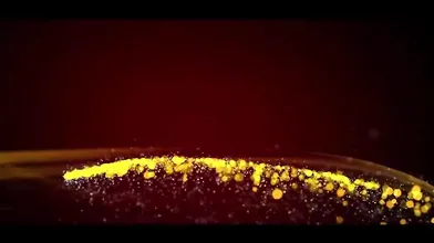 Desi Indian Bhabhi With Shemale Fucking