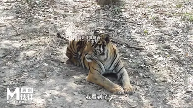 Korean Slut Uncensored #3