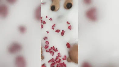 Tamil Desi playing with boobs in tub