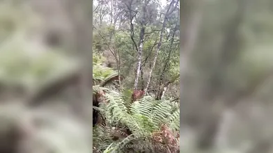 Gracewearslace ​nude ​Complete ​Library ​At ​spankbang.pics