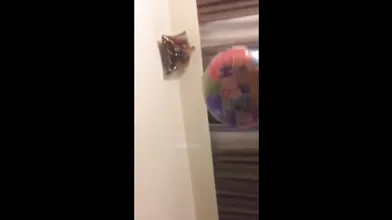 Rich Punjabi NRI Businessmen Dirty Party With Sexy White Escorts – MMS xxx