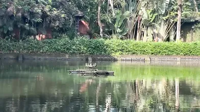 Bengali Bulbul Removing Her Saree Showing Her Big Boobs And Wonderful Body