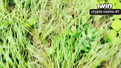 Zombie apocalypse. Last female smashed hard. Hottest porn.