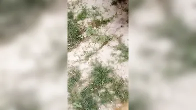 Bhabhi Fucking Inside Truck