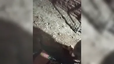 Horny Bhabhi Doggy Fuck