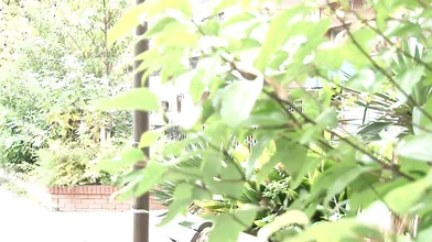 Even Mothers-in-law Want To Be Impregnated. Minaho Aruga