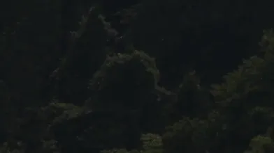 Wife Having Affair With Brother In Law