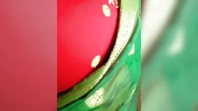 DesHILG Indian Festival