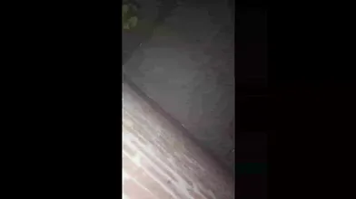 Marry Viral Pakistani MMS – Horny Randi Praises Lover’s Cock & Begs For Niqah