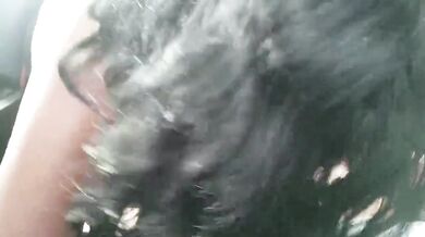 Black Hooker Sucks And Tugs A White Dick