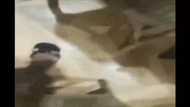 Jawaan Sali Ki Tight Chut Mein Jija Ka Mota Lund