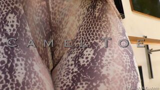 Buttman's Obsession: Camel Toes