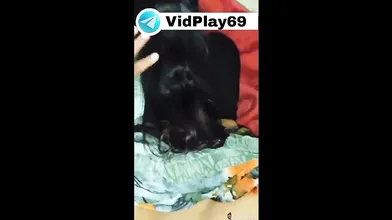 Devar pulls his Bhabhi's hair and bangs her in Bhabhi sexTelegram @VidPlay69