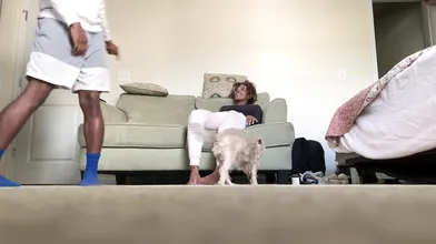 Black Dude Fucks Black Chick
