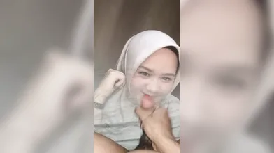 Genigustina minta di coli