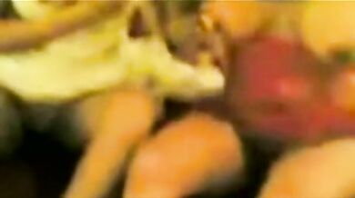 Arab Babe With Huge Booty Gets Smashed In Homemade Scene