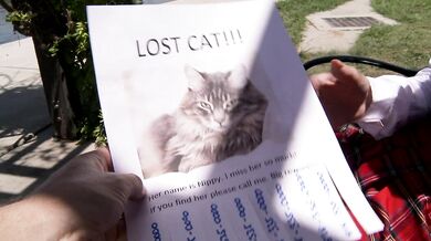 Lost Pussycat - 85189