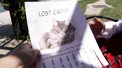 Lost Pussycat - 85189