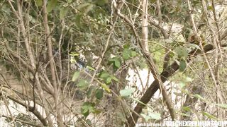 Slutty Czech girl sucking strangers cock in public