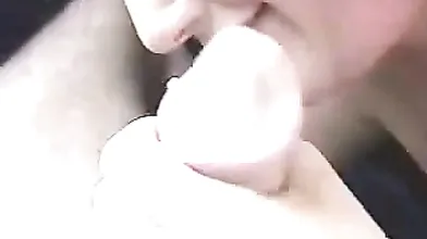 Blowjob In Car In The Netherlands