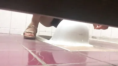 Korean Spy Toilet