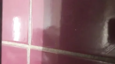 Korean Spy Toilet