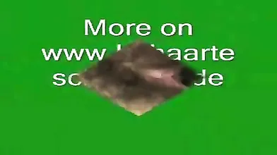 German Hairy Bitch Plays With Cucumber