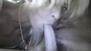German Wife Giving A Nice Blowjob 2