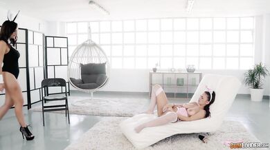 Busty bunny playing with her kitty