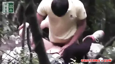 Watched In The Woods