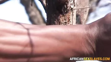 Curvy African MILF Outdoor Tit Tortured And Ass Whipped