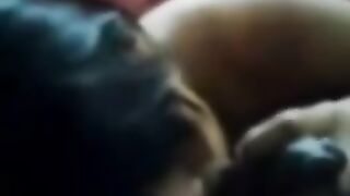 South African Wife Giving Husband A Blowjob