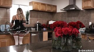Lesbian Maids 4 - Scene 3