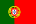 Portuguese Flag